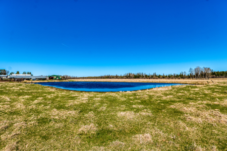 Cattle Farm w/ Solar Potential for Sale in International Falls MN - image 11