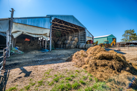 Cattle Farm w/ Solar Potential for Sale in International Falls MN - image 42