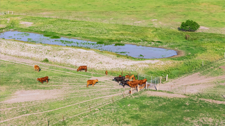375 Acre Turnkey Cattle Ranch, Hunting & Development Potential - image 38