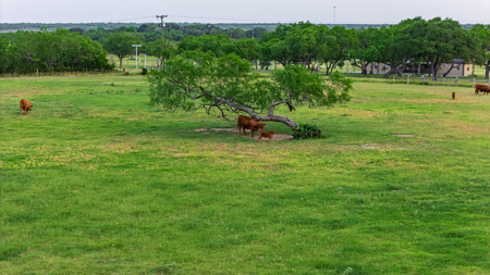 375 Acre Turnkey Cattle Ranch, Hunting & Development Potential - image 37