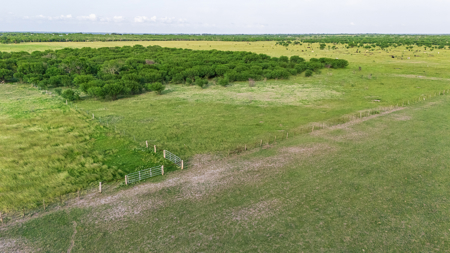 375 Acre Turnkey Cattle Ranch, Hunting & Development Potential - image 31