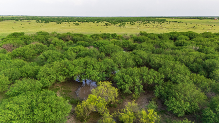 375 Acre Turnkey Cattle Ranch, Hunting & Development Potential - image 32