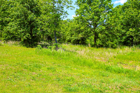 Land For Sale St. Clair County - image 26