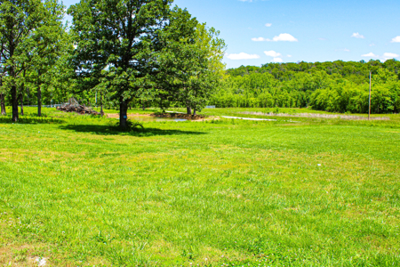 Land For Sale St. Clair County - image 5