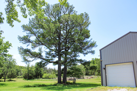 Land For Sale St. Clair County - image 32
