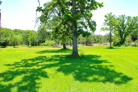 Land For Sale St. Clair County - image 30