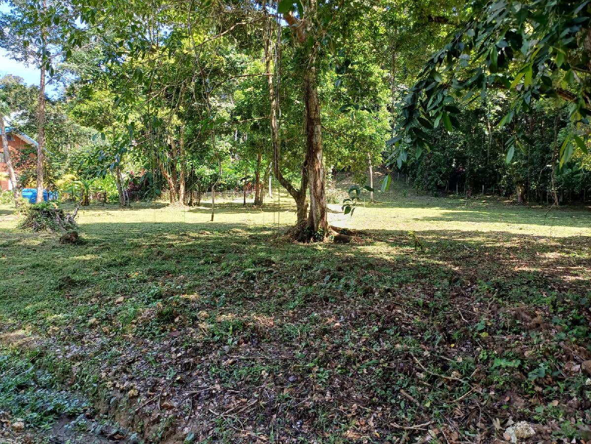 Titre: Accès terrestre, routier et maritime — Près de Bocas Town, Isla Colón - 8
