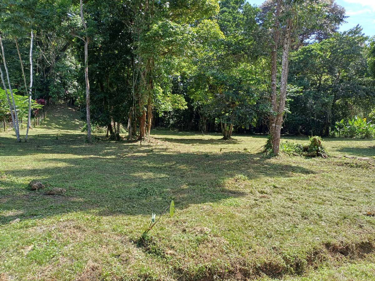 Titre : Accès Terre, Route & Mer — Près de Bocas Town, Isla Colón - 6