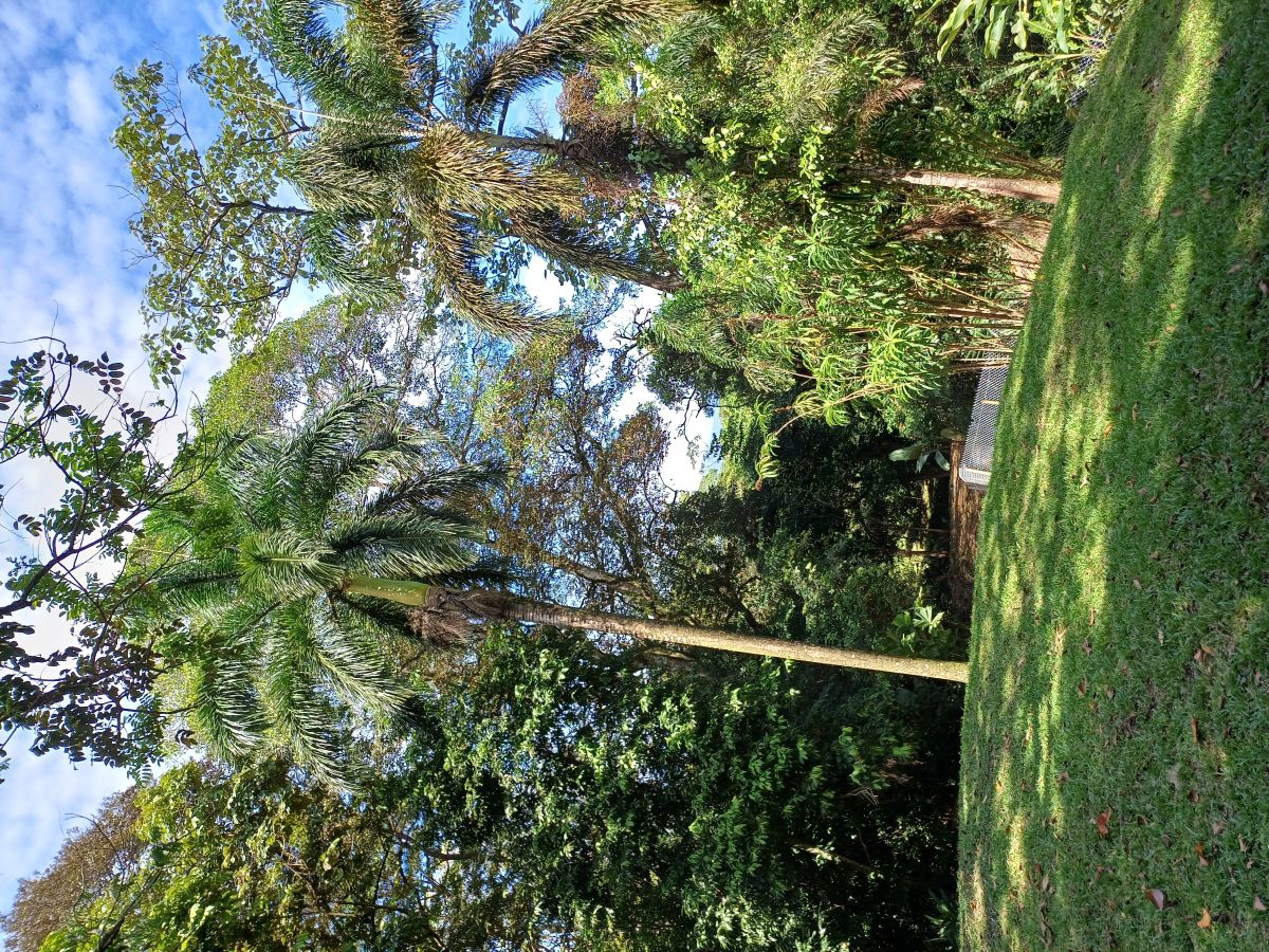 Terre, Accès Routier et Maritime — Près du centre de Bocas, Isla Colón - 27