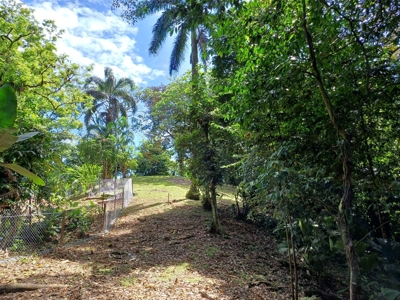 Titled Land for Sale Near Bocas Town – Road & Sea Access Lots - image 21