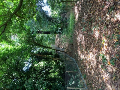 Titled Land for Sale Near Bocas Town – Road & Sea Access Lots - image 19