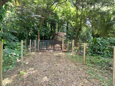 Titled Land for Sale Near Bocas Town – Road & Sea Access Lots - image 18