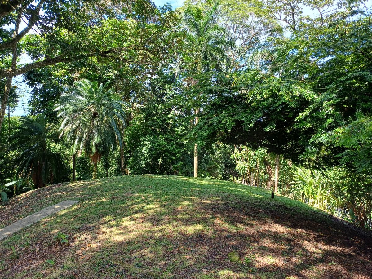 Terre Titrée, Accès Route et Mer — Près de Bocas Town, Isla Colón - 28