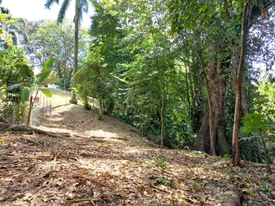 Titled Land for Sale Near Bocas Town – Road & Sea Access Lots - image 20