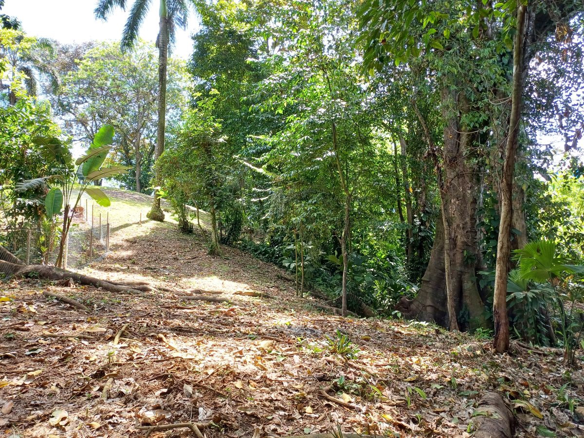 Terrain Titré, Accès Route et Mer — Près de Bocas Town, Isla Colón - 24