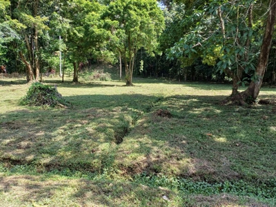 Titled Land for Sale Near Bocas Town – Road & Sea Access Lots - image 2