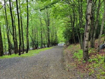 Tiny Home for Sale in Willis VA - image 23