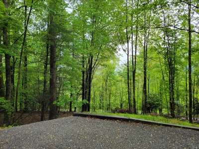 Tiny Home for Sale in Willis VA - image 22