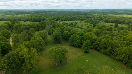 Beautiful Farm For Sale In The Ozarks - image 2
