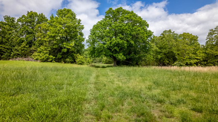 Beautiful Farm For Sale In The Ozarks - image 11