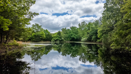 Beautiful Farm For Sale In The Ozarks - image 30