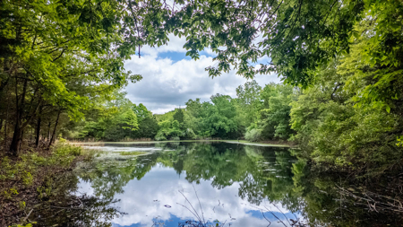 Beautiful Farm For Sale In The Ozarks - image 29