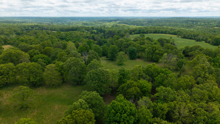 Beautiful Farm For Sale In The Ozarks - image 3
