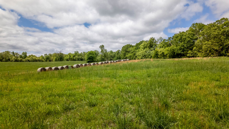 Beautiful Farm For Sale In The Ozarks - image 10