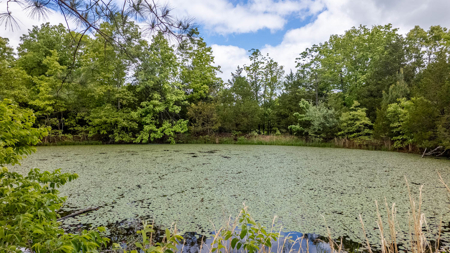 Beautiful Farm For Sale In The Ozarks - image 31