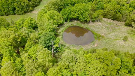 Beautiful Farm For Sale In The Ozarks - image 26