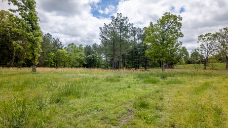 Beautiful Farm For Sale In The Ozarks - image 9
