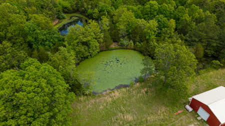 Beautiful Farm For Sale In The Ozarks - image 17
