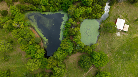 Beautiful Farm For Sale In The Ozarks - image 33