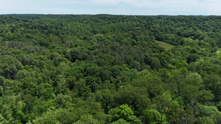 80 Acres in Dubois County- Southern Indiana Real Estate- - image 1