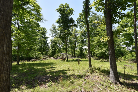 80 Acres in Dubois County- Southern Indiana Real Estate- - image 15
