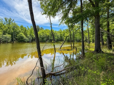 3.06 Acres with Direct Access to Kerr Lake, VA - image 19