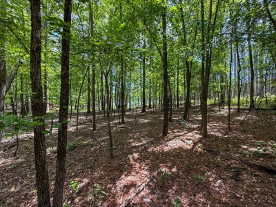 3.06 Acres with Direct Access to Kerr Lake, VA - image 12