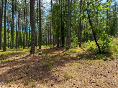 3.06 Acres with Direct Access to Kerr Lake, VA - image 6