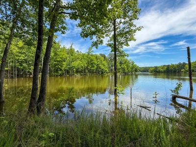 3.06 Acres with Direct Access to Kerr Lake, VA - image 15