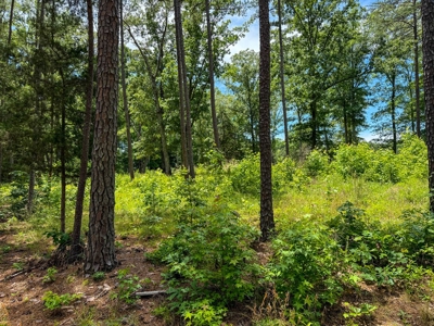 3.06 Acres with Direct Access to Kerr Lake, VA - image 10