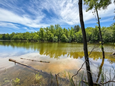 3.06 Acres with Direct Access to Kerr Lake, VA - image 18