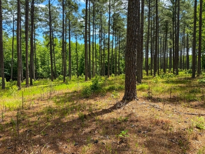 3.06 Acres with Direct Access to Kerr Lake, VA - image 8