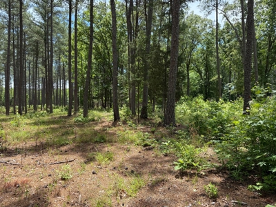 3.06 Acres with Direct Access to Kerr Lake, VA - image 9