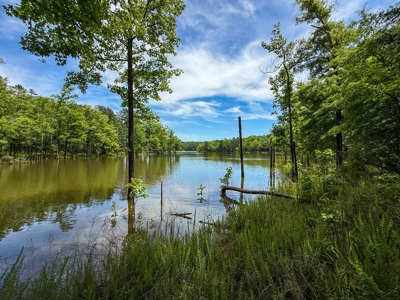 3.06 Acres with Direct Access to Kerr Lake, VA - image 14