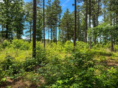 3.06 Acres with Direct Access to Kerr Lake, VA - image 11
