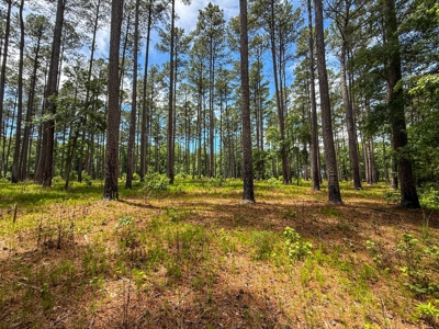 3.06 Acres with Direct Access to Kerr Lake, VA - image 13