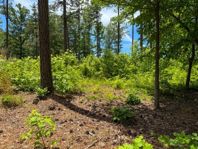 3.06 Acres with Direct Access to Kerr Lake, VA - image 7