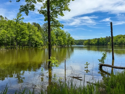 3.06 Acres with Direct Access to Kerr Lake, VA - image 16