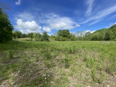 Home and 70 Acres At Auction in 6 Tracts - image 27