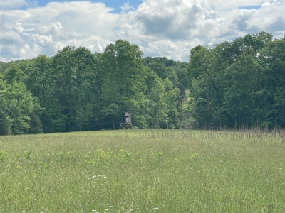 Home and 70 Acres At Auction in 6 Tracts - image 38